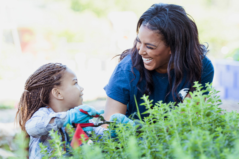 DDI Category Tile Community 7-2025.jpg