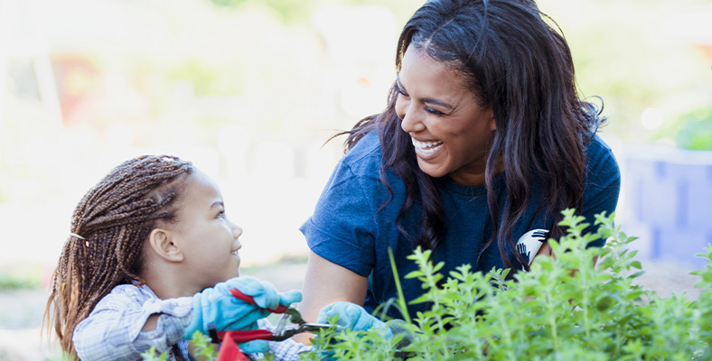 DDI Trio Banner community 7-2025.jpg